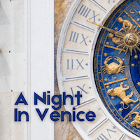 A night inVenice