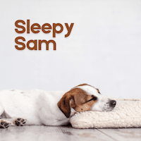 Sleepy Sam