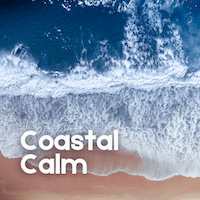 Coastal Calm