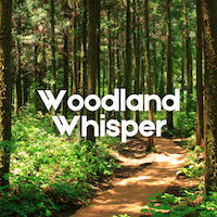 Woodland Whisper